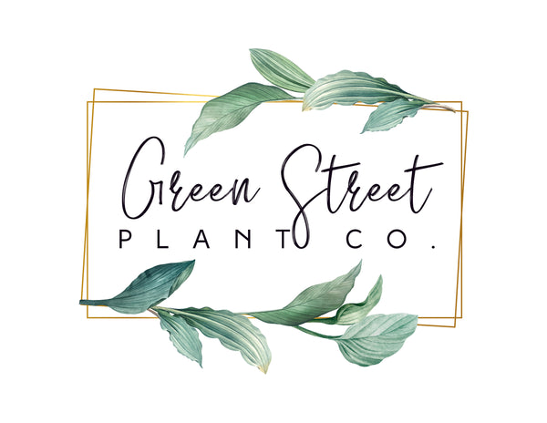 Green Street Plant Co